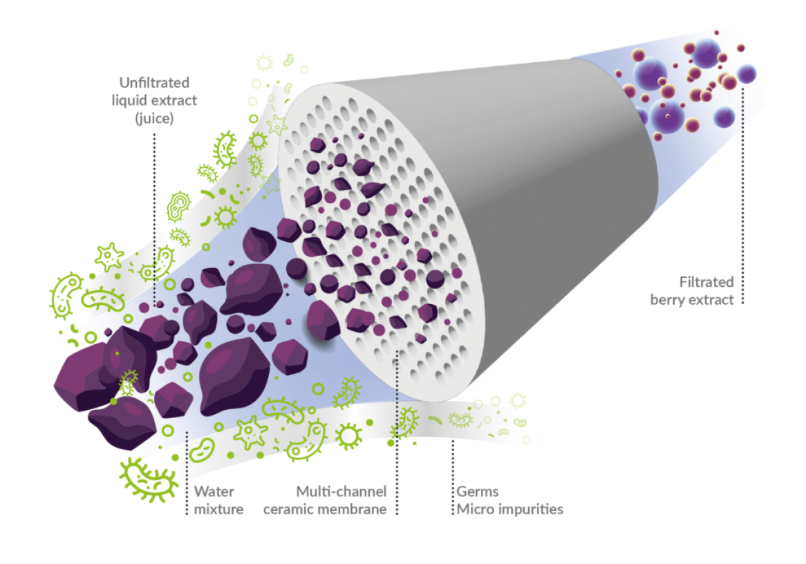 Microfiltration membranes process