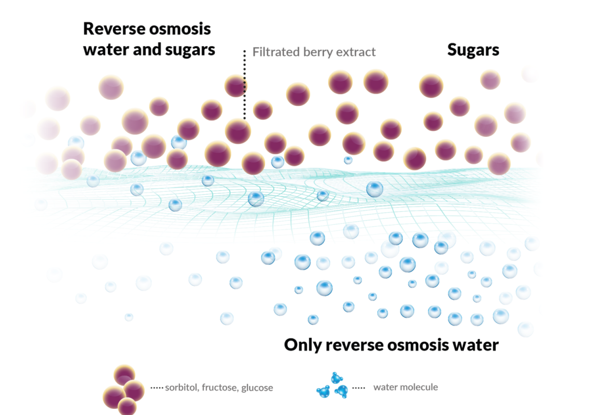 Concentration by reverse osmosis membranes