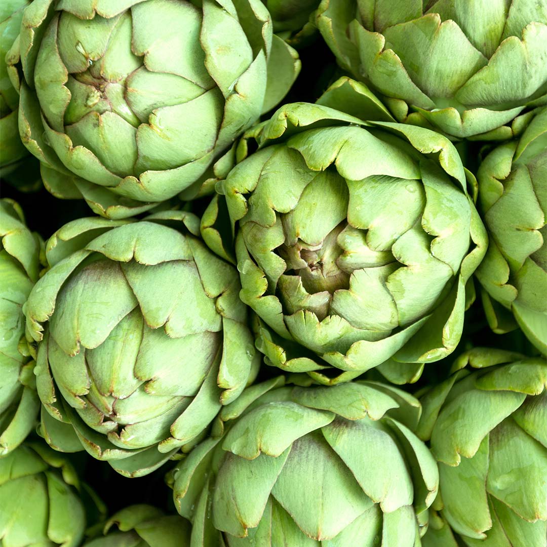 Artichoke 