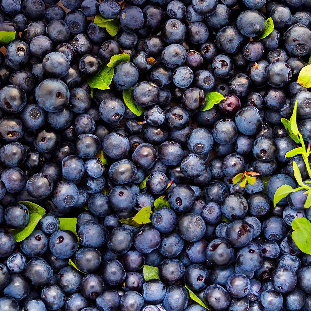 Bilberry fruit