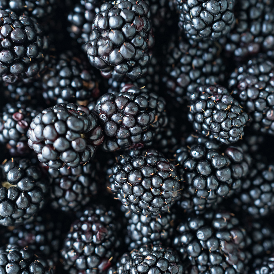 Blackberry fruit