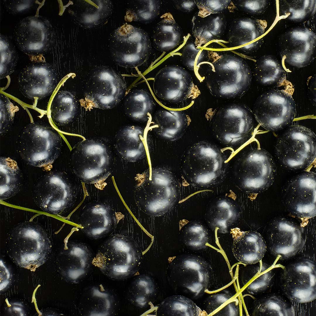 Blackcurrant fruit