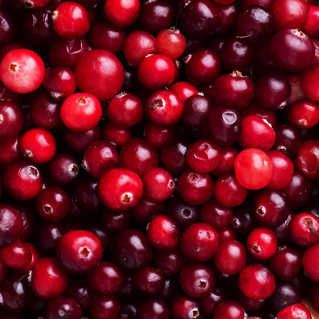 Cranberry fruit