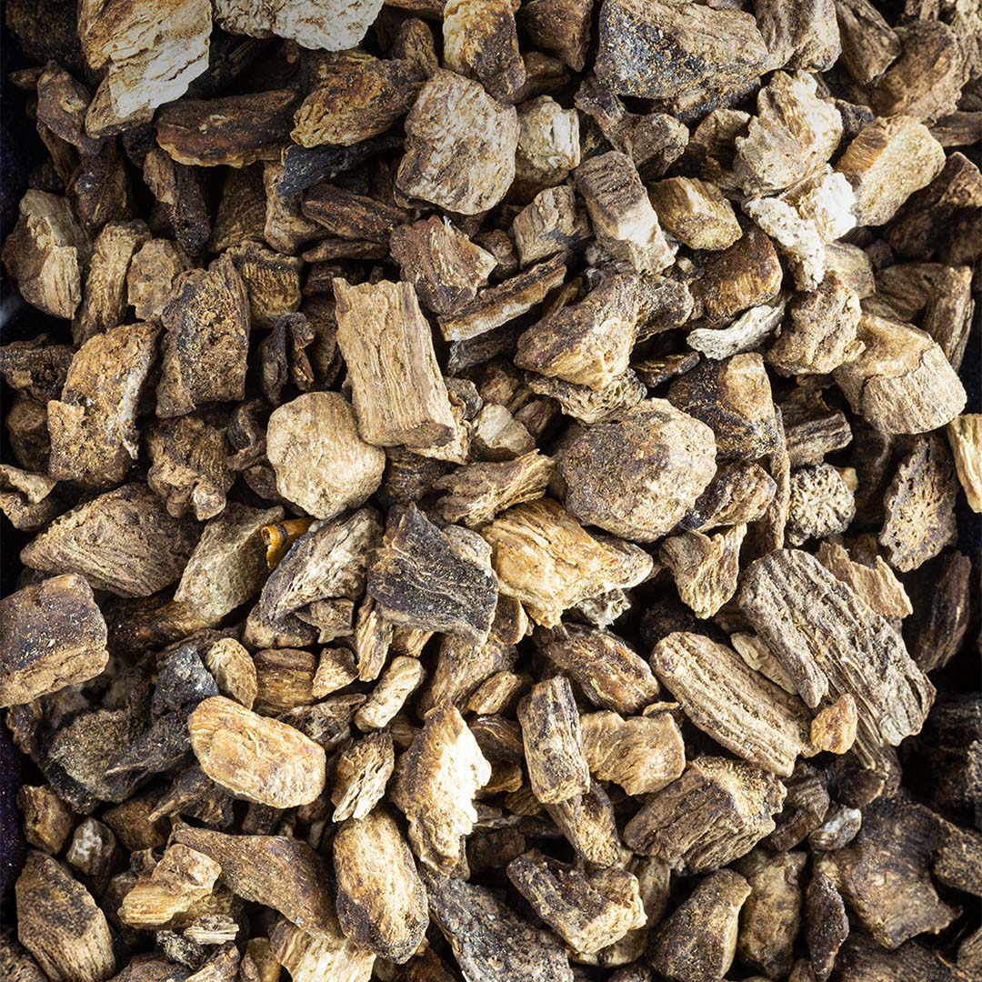 Dandelion root