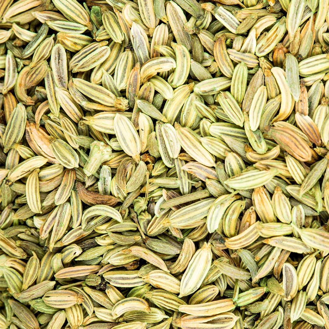 Fennel fruit