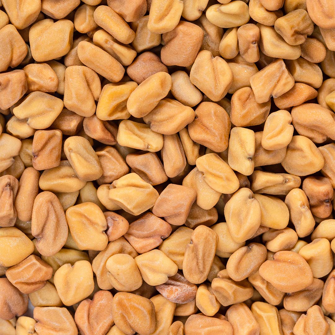 Fenugreek seed