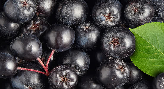 Berry Extracts
