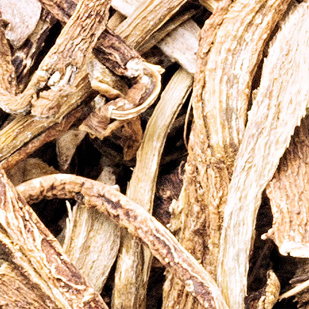 Nettle root