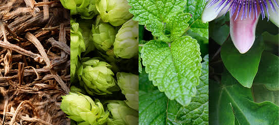 Prebiotic Juice Powders