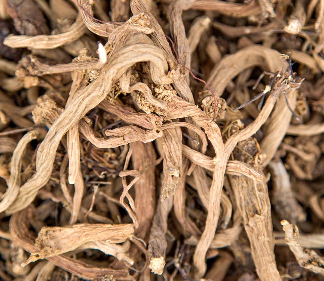 Valerian root
